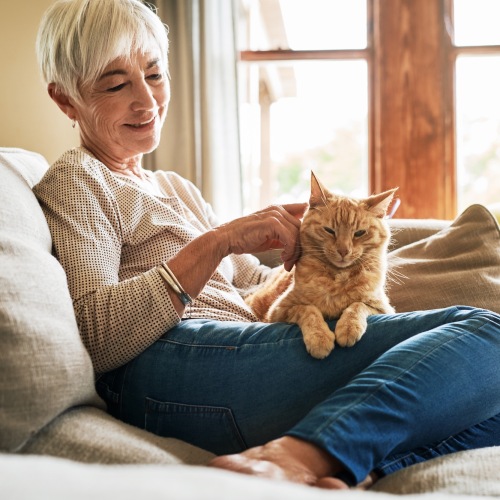 a woman sitting on a sofa with her cat